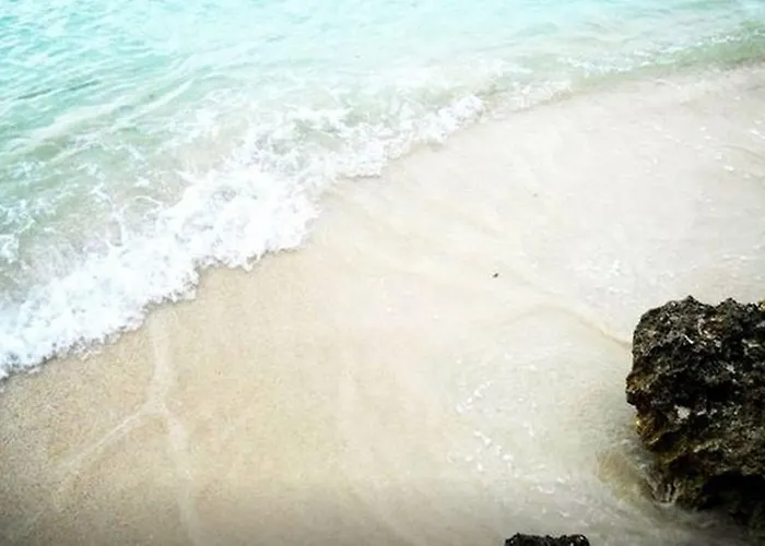 Pensión Jamrock Secret Retreat Montego Bay